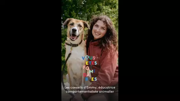 Les 7 conseils d'Emmy, pour mieux comprendre et élever son chien