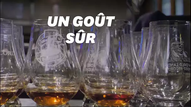 Cette langue artificielle peut analyser votre whisky mieux que personne