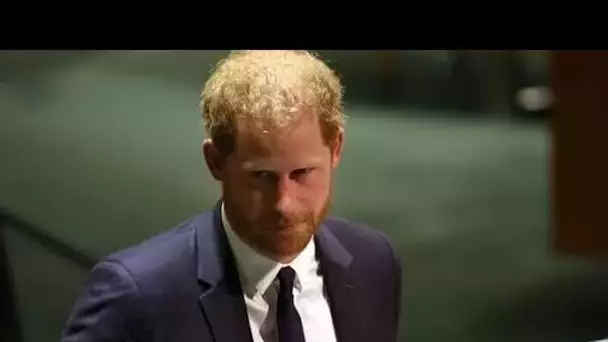 Le prince Harry lance une DEUXIÈME action en justice pour interdiction de payer pour la protection d