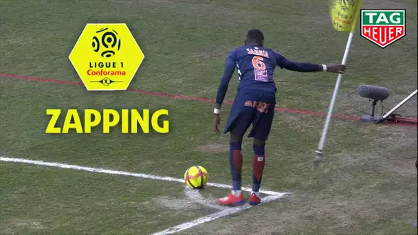 Zapping de la 23ème journée - Ligue 1 Conforama / 2018-19