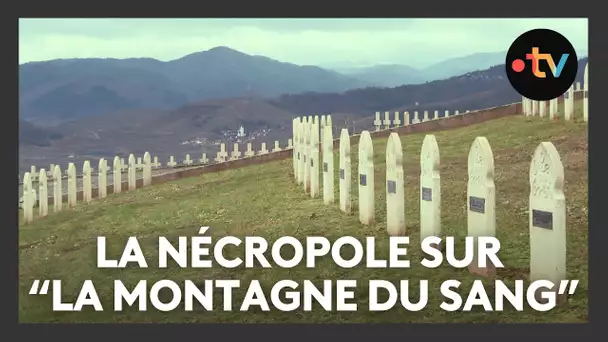 80e anniversaire de la Libération de l'Alsace : Sigolsheim, la nécropole sur "la montagne du sang"