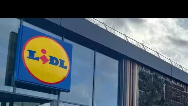 Électricité : ce magasin Lidl fonctionne en partie grâce à des panneaux photovoltaïques