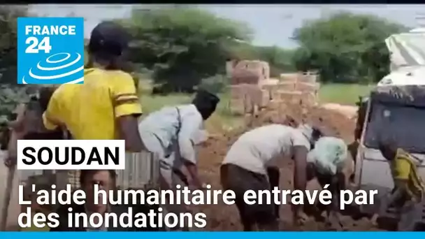 Au Soudan, l'acheminement de l'aide humanitaire entravé par des inondations • FRANCE 24