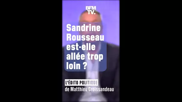 ÉDITO - Sandrine Rousseau est-elle "allée trop loin", comme l'affirme Julien Bayou ?