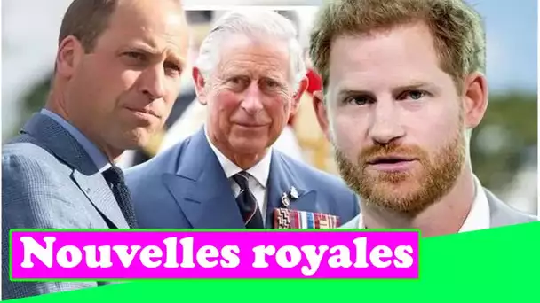 Harry a averti de "communiquer" avec William et Charles avant les mémoires: "Contexte manqu@nt"