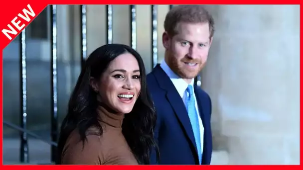 ✅  Meghan Markle privée de passeport… mais aurait voyagé 13 fois