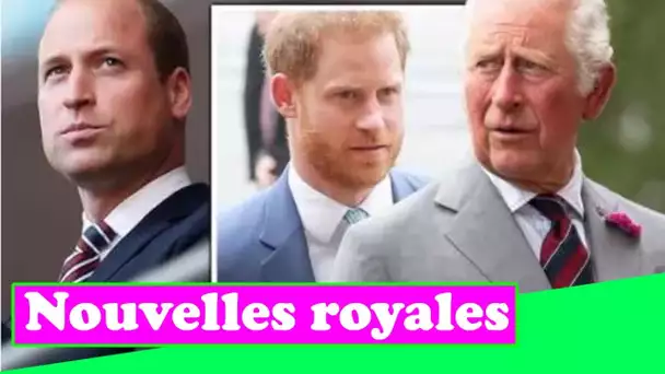 Le prince Charles était «absolument furieux» après que la querelle Harry-William «a sapé son travail