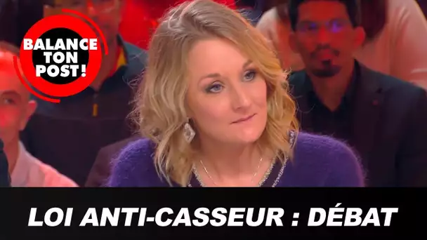 Loi anti-casseurs : "L'objectif est de garantir la sécurité" pour Alice Thourot, députée LREM