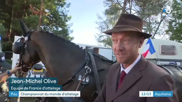 5 étoiles de Pau : rencontre avec les champions de l'attelage à un cheval