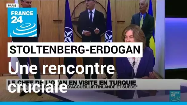 Le chef de l'Otan en Turquie : "Une rencontre cruciale" entre Stoltenberg et Erdogan • FRANCE 24