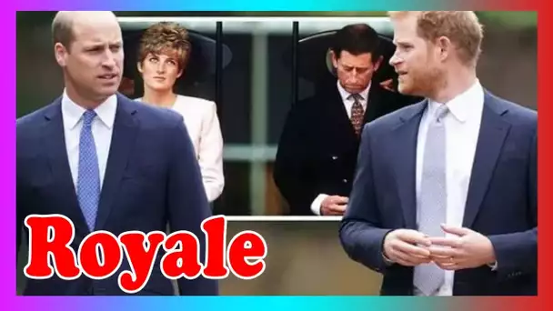 La querelle de Harry et William comp@rée à Charles et Diana: Briefing wars