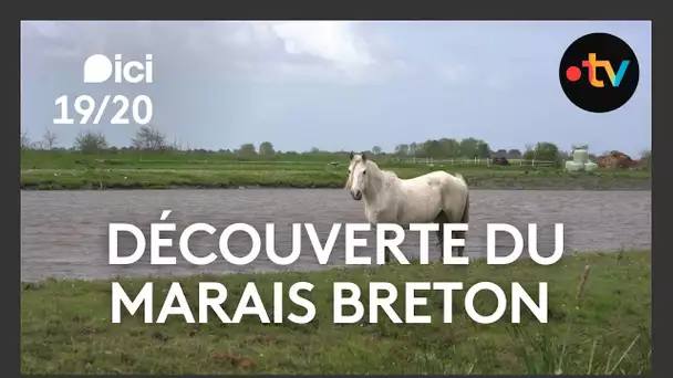 Découverte du marais Breton