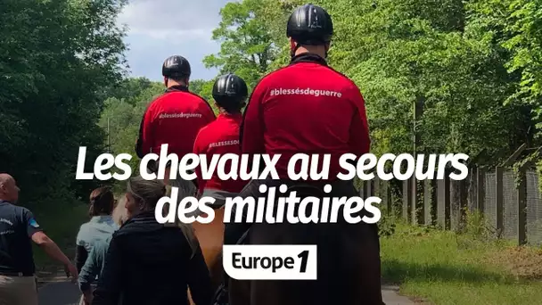 Armées : quand les chevaux aident à panser les plaies des militaires