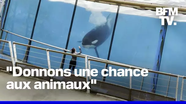 Fermeture de Marineland: une avancée pour la protection animale?