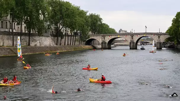 Baignade dans la Seine : les Ourcq Polaires, ces nageurs parisiens qui n'hésitent pas à plonger d…