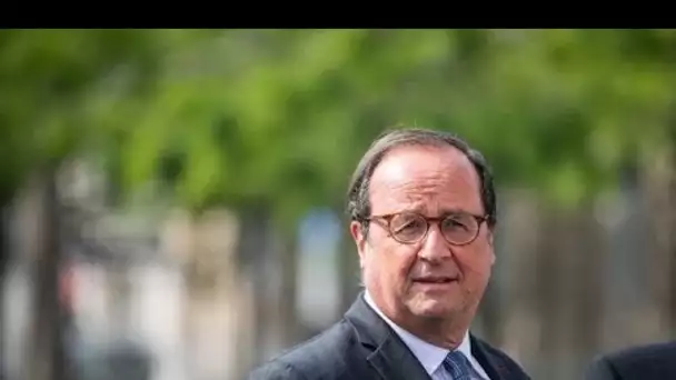 "Une plaie importante au crâne" : François Hollande blessé à la tête après une...