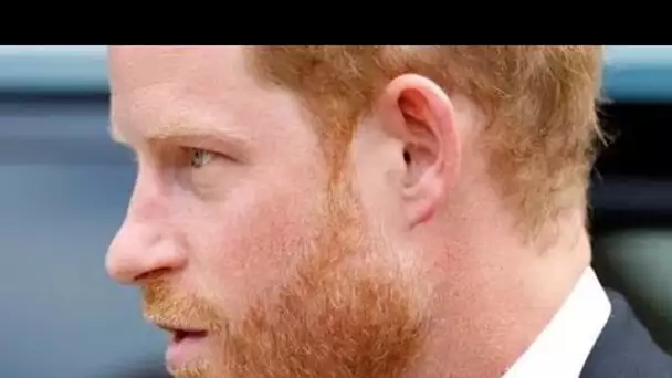 Les mémoires «sincères» du prince Harry retardées en raison d'une surprise potentielle pour «un gran