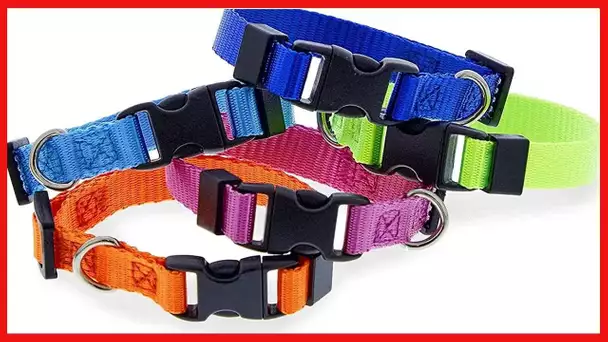 Rainbow Snap ID Collars for Small Dogs and Puppies, Adjustable (16 Pack)