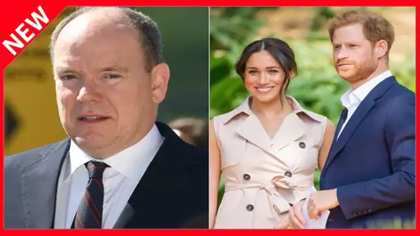 ✅  Albert de Monaco pas tendre avec Meghan et Harry : il enfonce le clou