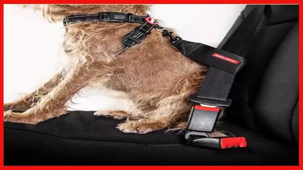 EzyDog Universal Dog Car Restraint - Dog Seat Belt Safety Lead - Abrasion-Resistant Vehicle Seatbelt