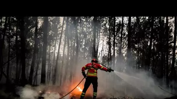 Le centre du Portugal en proie à un violent incendie