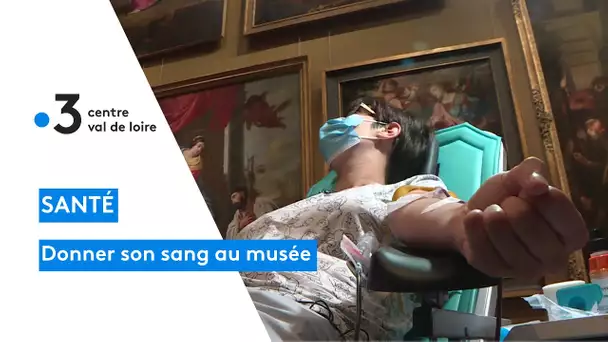 Orléans : une collecte de sang aux Beaux-Arts, un lieu insolite pour se cultiver tout en donnant