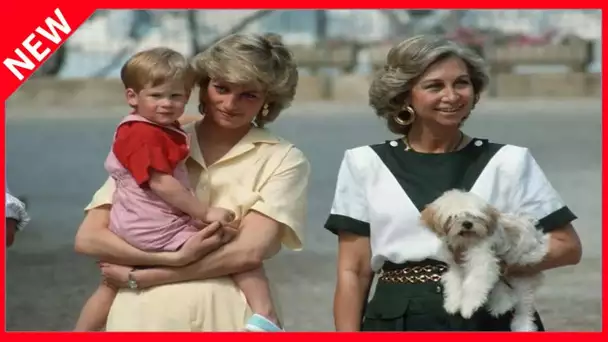 ✅  Diana face aux Windsor : son combat pour faire respecter Harry