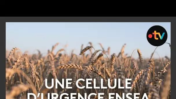 Agriculture : une cellule d'urgence mise en place à cause de la météo capricieuse