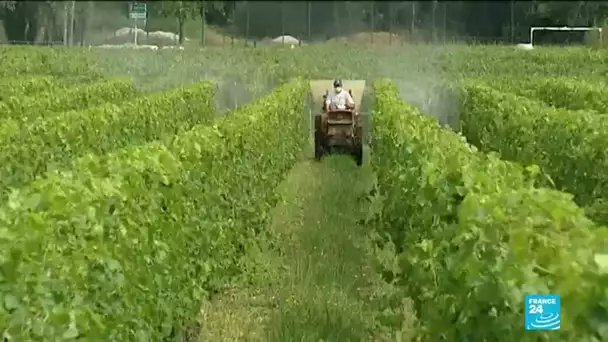 Cinq grandes villes françaises interdisent l'utilisation des pesticides