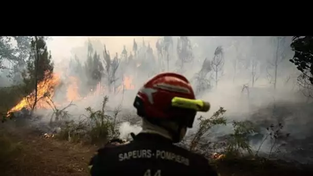 Le point sur les incendies en Aveyron et en Lozère, où le feu n'est toujours pas fixé