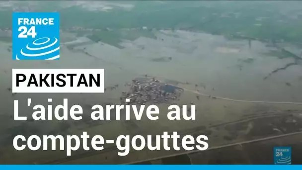 Inondations au Pakistan : l'aide arrive au compte-gouttes dans la province du Sindh • FRANCE 24