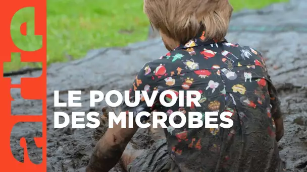 Vive les microbes ! | ARTE