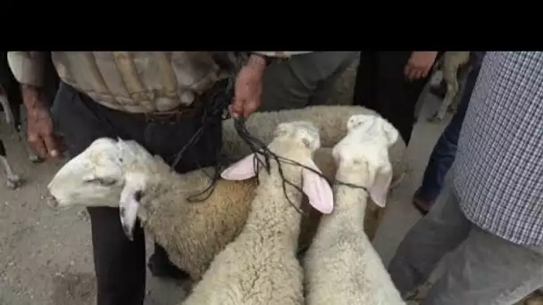 La fête de l'Aïd à l'heure du covid-19