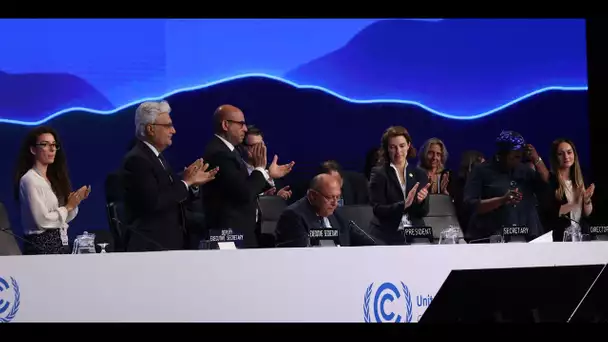 Fin de la COP27, qui se termine sur un bilan contrasté et des réactions partagées