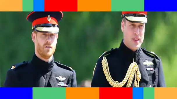 Harry et William se déchirent  Meghan n'a fait qu'accentuer leur brouille…