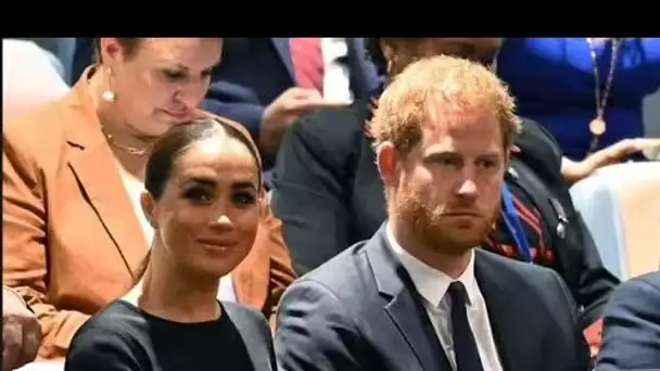 Le livre du prince Harry a saboté l'une des "plus grandes ambitions" de Meghan