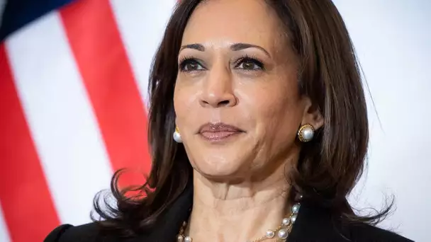 Portrait de Kamala Harris, une candidate à la confluence de plusieurs mondes