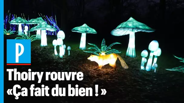 Féerie de lumières à Thoiry pour la réouverture du parc zoologique