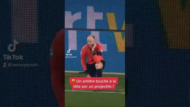 😡 Un arbitre touché à la tête par un projectile !