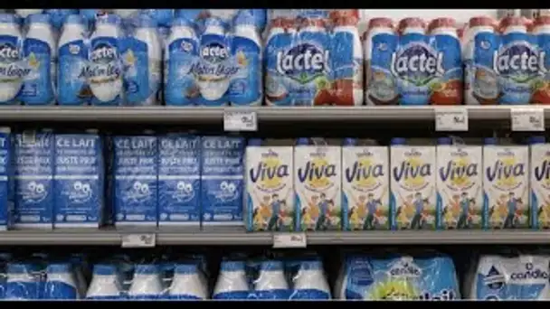 Comment lutter contre la nouvelle pénurie de lait en France ?