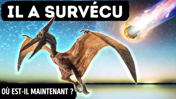 Un Astéroïde a Éliminé les Dinosaures mais pas les Oiseaux || Comment ont-ils pu Survivre ?