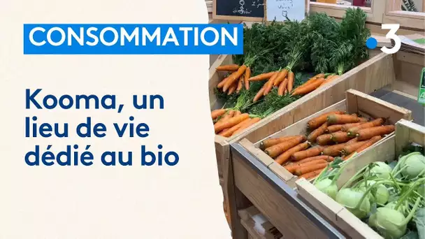 Magasin de producteurs, brasserie, pub... Kooma rassemble autour de l'alimentation bio à Strasbourg