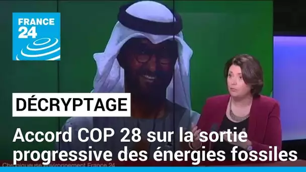 Accord à la COP28 sur une sortie progressive des énergies fossiles • FRANCE 24