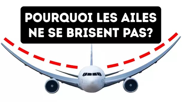 Pourquoi Les Ailes Des Avions ne se Brisent Pas