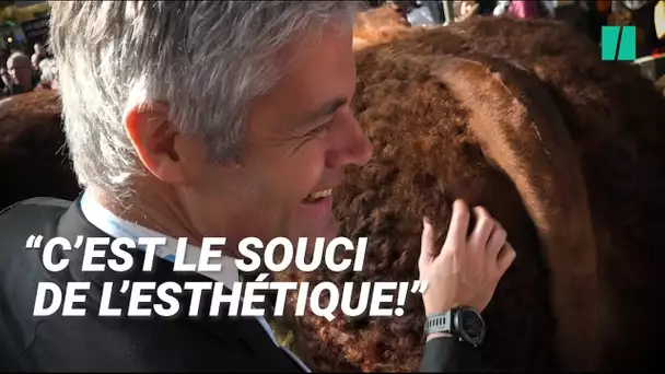 Wauquiez fait (encore) son show au salon de l'agriculture