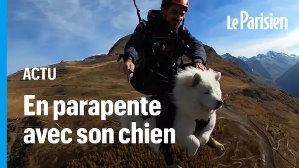 Ouka, ce chien dont la passion est de voler en parapente au-dessus des Alpes