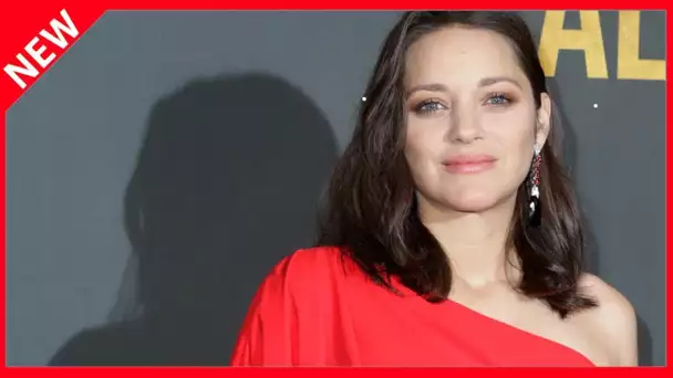 ✅  Marion Cotillard raconte son confinement avec ses enfants au Cap Ferret