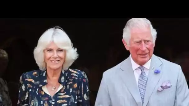 Prince Charles et Camilla : accusé de mentir, leur supposé fils caché Simon...