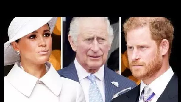 La principale source de « tension » entre le prince Harry et Meghan Markle qui ne changera probablem