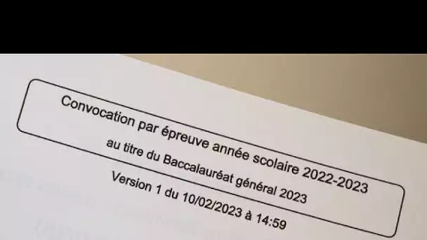 Épreuves de spécialité du bac : dernières révisions dans l’angoisse